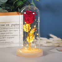 Thumbnail for Eternal LED Rose in Glass Dome (Valentine’s Day Gift)